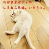 ねこ18話　ゆきみぷーpoo