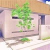 シンボルツリーは、常緑樹…⁉︎ 落葉樹…⁉︎
