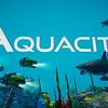 Aquacity