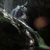 ２０１８年６月の山歩き