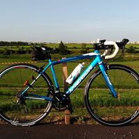ALEXRIMS ALX473 7000km長期乗り込みインプレ - 漕ぐにてぃぶ