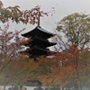 今こそ京都の旅～　ちょっとだけ紅葉を見る！