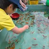 【体験】初めて尽くしの週末