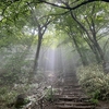 【筑波山登山】天気が良くないときに見れたもの
