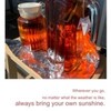 今年最初で最後のSUNTEA