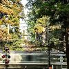 JR横須賀線　円覚寺