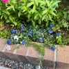 雨が降らない