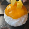 初めてのキャンプで行ったかき氷の「雪みるく」夕飯はお寿司です！