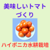 ハイポニカ水耕栽培装置で美味しいトマトづくり！