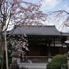 2025/03/30 杉並お散歩会 04 妙正寺/妙正寺公園/中瀬天祖神社/TAC杉並区妙正寺体育館/井草川緑道・中瀬橋/杉並区立中瀬中学校