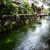 醒ヶ井宿を流れる地蔵川の水の透明度に感動した