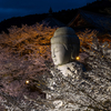 RF70-200mm F2.8 L IS USMが手元に届いたので奈良県の桜スポットを巡って撮影してみる。