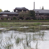 鳳凰山　本漸寺　〜東金城跡・酒井氏一族供養塔・宝篋印塔〜