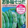 ソラマメの水耕栽培に挑戦しています。前回の栽培を糧にして、立派な実を収穫したいです