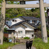 隣県東部離島のねこさん