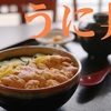 いても立ってもいられなくなって唐突にウニ丼を食べに行ってきました