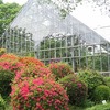 東京薬用植物園（東京都小平市）