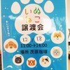 お知らせ 千葉 茂原市 【第12回 保護犬猫の譲渡会のお知らせ】 2021年12月18日(土) 