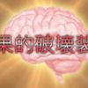 100均のおもしろい商品を集めよう