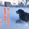 ココテンブログ新年のご挨拶です。