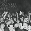C'Mon You Know/Liam Gallagher（2022）今日のDMM月額レンタル日記。#17