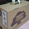 カルソーアースシューズを買いました。