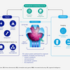 Organoid Intelligenceを理解する | 論文メモ: Organoid intelligence (OI): the new frontier in biocomputing and intelligence-in-a-dish