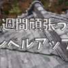 凄まじい状態だった屋根を、二週間頑張って修理完了。
