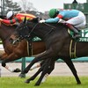 楽しい競馬予想、馬名で物語を🏇第52回 ダービー卿チャレンジトロフィーG3🏇