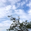 いつも通りの朝に