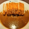 【日記】今日はカレーが食べたい日