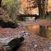 2022-11-20　栃木県佐野市蓬莱山