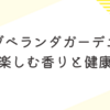 ベランダでハーブを育てる5つのポイント