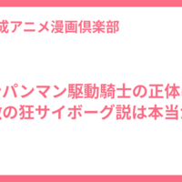 ワンパンマン駆動騎士の正体は？敵の狂サイボーグ説は本当か