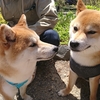 長野県初上陸