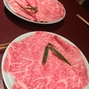 食歩記 赤坂見附 今半　なんとも艶やかなお肉をすき焼きでいただきました