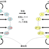 結局２の補数表現って…