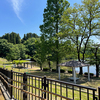 本日の風景から！