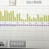 太陽光発電　２０２１年８月結果