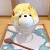 かわいすぎ！黄色いくまさんのかき氷（Japanese Ice OUCA @恵比寿）