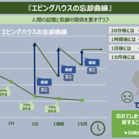 間違った勉強方法と忘却曲線の誤解について Life In Program