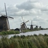 欧州、オランダ行の２ Kinderdijk