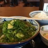 かけうどん、温泉玉子、ごはん