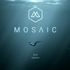 Mosaic(switch)