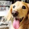 愛犬とカフェ ダックスのリオとちびっ子マイティ