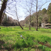 鳥撮り＠《大町公園》冬鳥さんさようなら(T_T) かろうじてカケスさん♪