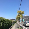 滋賀近江八幡〜神戸三宮たくさん歩いた日帰り旅行