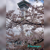 五稜郭タワーからの景色は素晴らしかった