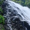 県立自然公園の白見山へ