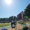 ７/30(土) 新潟ジャンプ、夏競馬 よそう屋 のりべえの買い方！